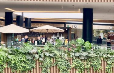 Local Comercial en Renta 385 m2 en Pabellón Bosques, Zona Premium de Cuajimalpa