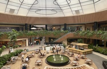 Local Comercial en Renta 385 m2 en Pabellón Bosques, Zona Premium de Cuajimalpa