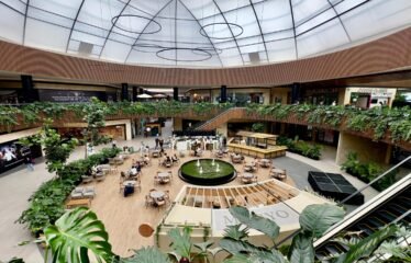 Local Comercial en Renta 385 m2 en Pabellón Bosques, Zona Premium de Cuajimalpa