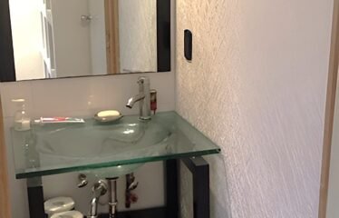 Departamento en Renta en San Miguel Chapultepec !