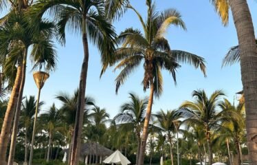 Departamento amueblado en venta  116 m², 3 recámaras, vista al mar y amenidades premium en Acapulco Diamante