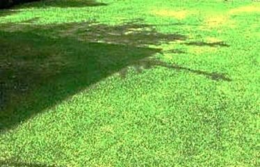 Casa para Oficinas Corporativas de Lujo en Renta * Amueblada * Lomas de Chapultepec