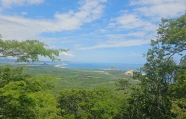 Terreno estratégico en Tehuantepec, Oaxaca – 2,362 hectáreas con vocación industrial, logística y turística