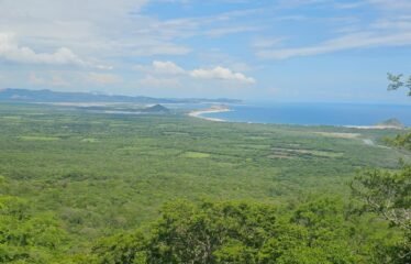 Terreno estratégico en Tehuantepec, Oaxaca – 2,362 hectáreas con vocación industrial, logística y turística