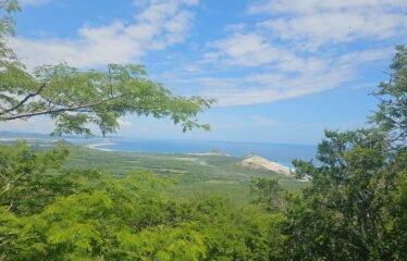 Terreno estratégico en Tehuantepec, Oaxaca – 2,362 hectáreas con vocación industrial, logística y turística