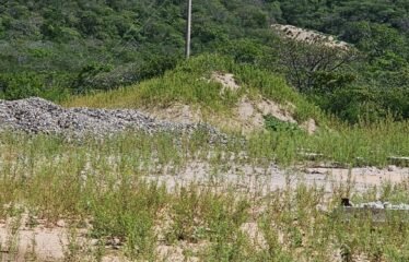 Terreno estratégico en Tehuantepec, Oaxaca – 2,362 hectáreas con vocación industrial, logística y turística